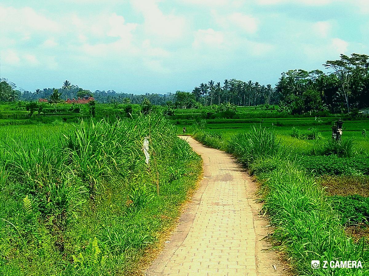 Amara Giri I Villa Ubud Exterior foto