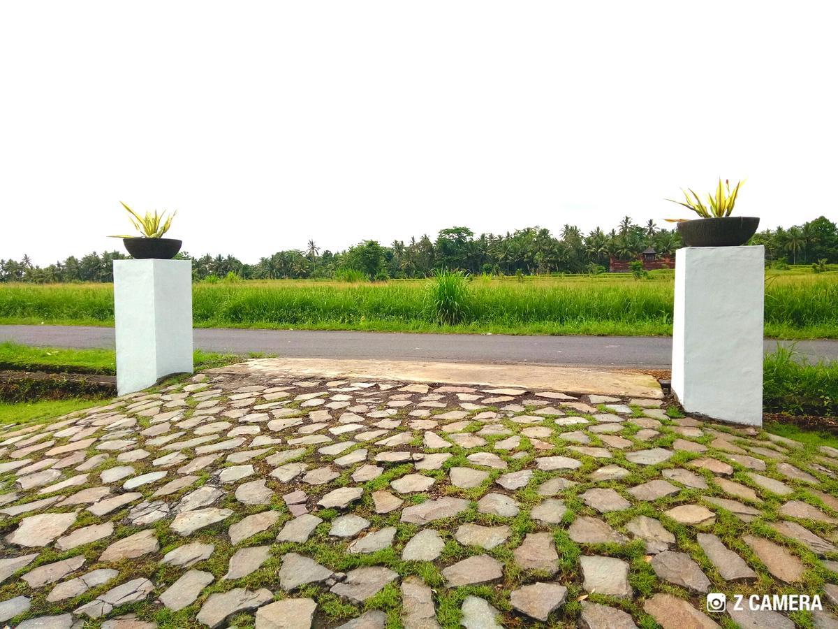 Amara Giri I Villa Ubud Exterior foto