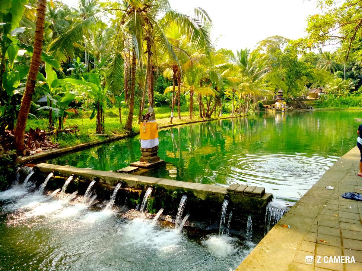 Amara Giri I Villa Ubud Exterior foto