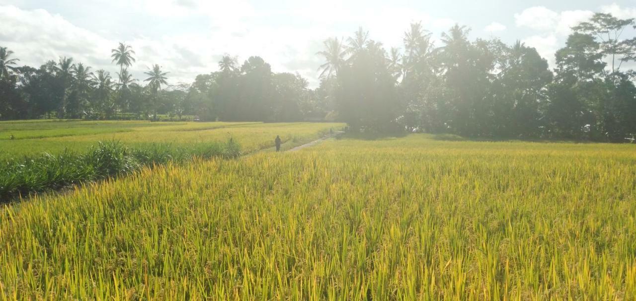 Amara Giri I Villa Ubud Exterior foto